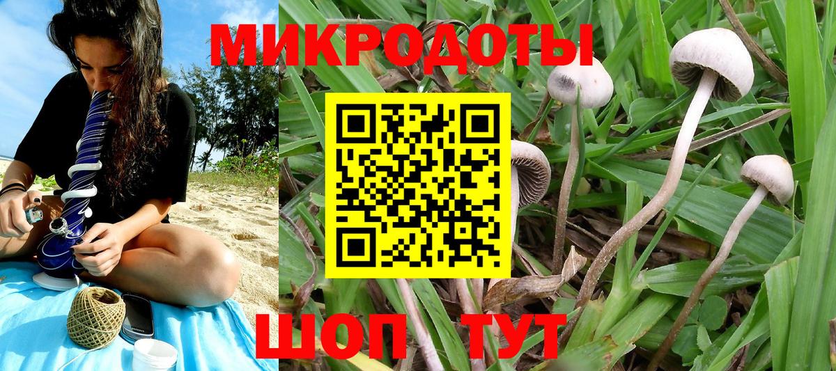 Татарск  Псилоцибиновые грибы Magic Shrooms  Вход с VPN 
