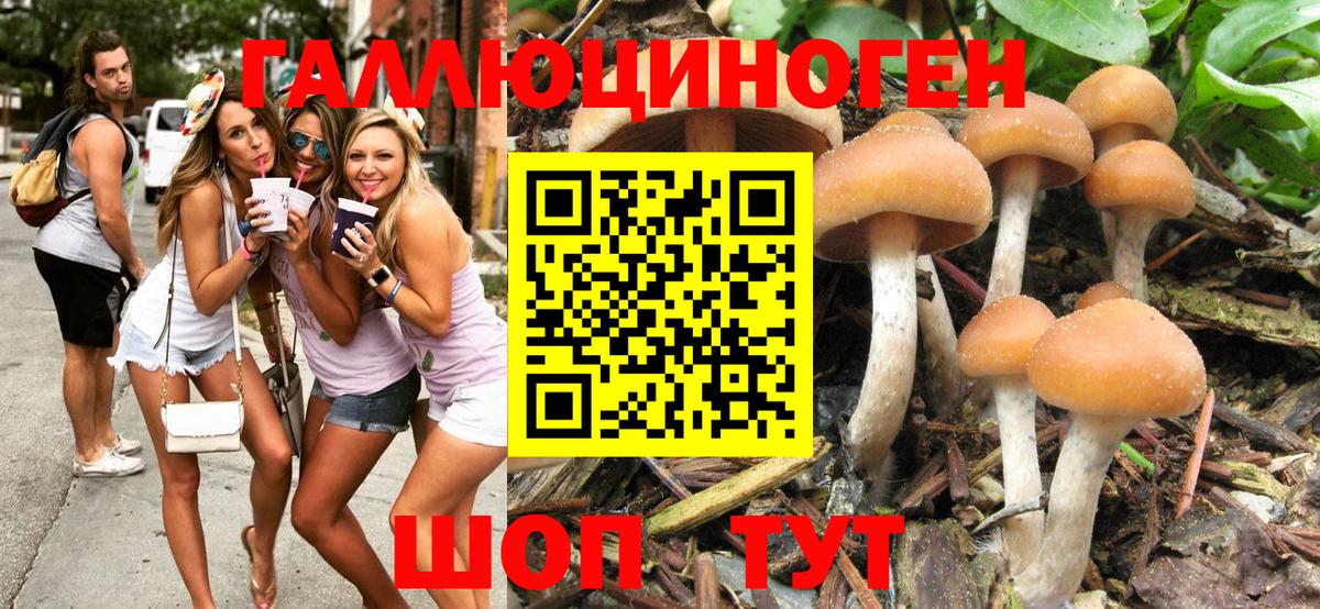 Псилоцибиновые грибы ЛСД Татарск